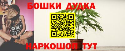 амф Нальчик