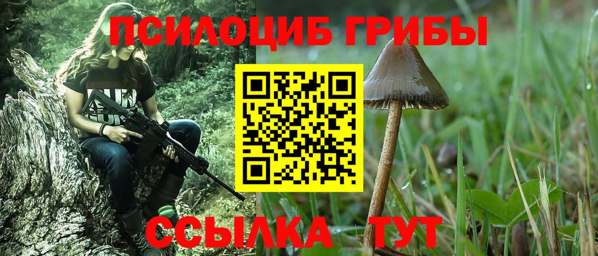 Псилоцибиновые грибы мицелий Элиста