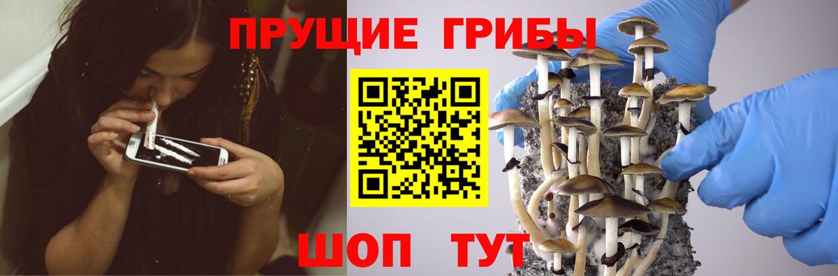 Псилоцибиновые грибы ЛСД  Псилоцибиновые грибы Cubensis  Элиста  Вход с VPN 